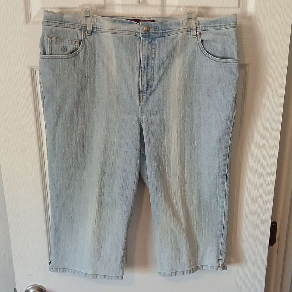 Gloria Vanderbilt Light Blue Denim Shorts, Plus Size 20W